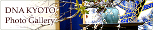 DNA KYOTO PhotoGallery